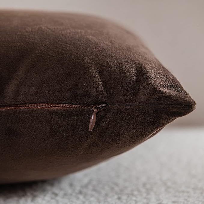 Decorative Pillow Cases 22x22 Chocolate Brown: 2 Pack Cozy Soft Velvet Square Throw Pillow Covers for Farmhouse Home Decor
