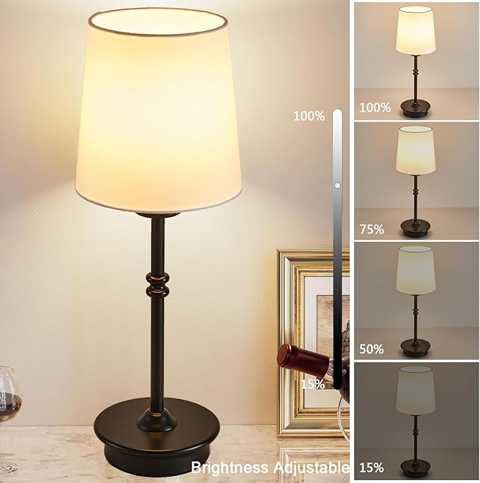 Rechargeable Cordless Table Lamp, Black Battery Operated Desk Lamps with Detachable LED Bulbs, 13 Colors Dimmable Bedside Lights for Bedroom, Bar, Night Light, Camping