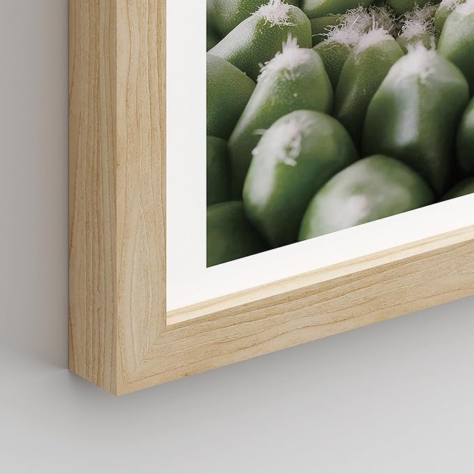 SIGNWIN Framed Tropical Island Wall Art, Set of 4 Green Desert Plant Cactus Snake Plant Wall Decor Prints, Nature Wilderness Wall Décor for Living Room, Bedroom - 12"x16" Natural