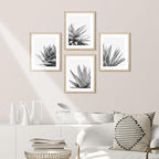 SIGNWIN Framed Black White Snake Plant Agave Cactus Succulent Wall Art, Set of 4 Floral Botanical Wall Decor Prints, Nature Wilderness Wall Décor for Living Room, Bedroom - 8"x10" Natural