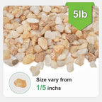 5 lbs Coarse Silica Sand for Indoor Plants, 1/5 Inch Natural Decorative Gravel for Vases, Aquariums, Terrarium, Fish Tank, Drainage Rocks for Potted Plants, Bamboo, Succulent, Crafts, Cactus