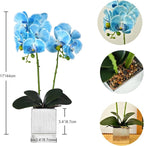 Artificial Potted Orchid Faux Phalaenopsis Silk Flowers Bonsai Realistic Arrangement in Silver Vase for Home Decoration Table Centerpiece, Blue