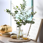 WDHODEC Hurricane Candle Holders 24 PCS, 6" 8" Clear Glass Bud Vases, Cylinder Vase, Pillar Floating Candle Holders for Wedding Birthday Party Centerpiece