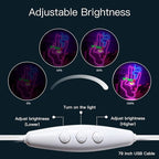 WLHOPE Evil Eye Hand Neon Sign for Wall Decor Pink Blue Led Lights Hamsa Light Signs USB Connectivity Eye Neon Light Signs for Bedroom Game Room Home Bar Pub Cafes Party Gift