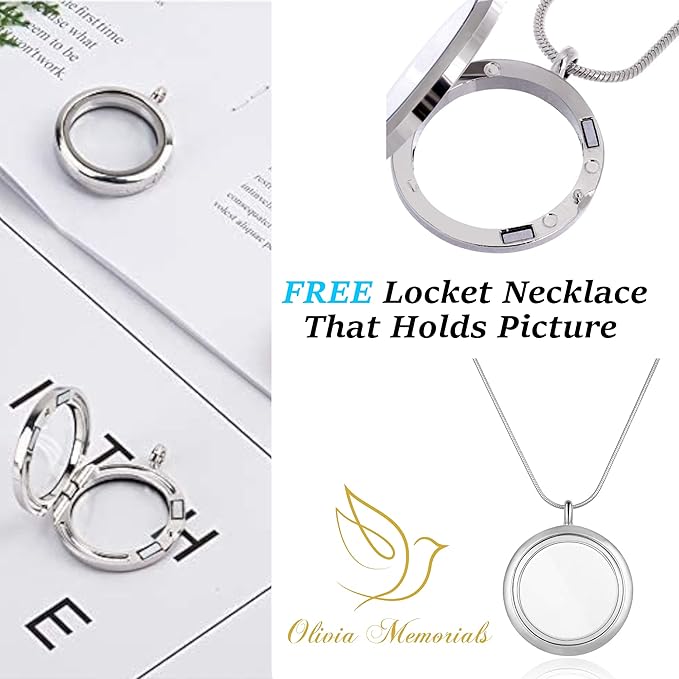 Olivia Memorials Urn for Ashes Women Men Adult | Hummingbird Urn for Female Male | Free Pendant Necklace | Human Funeral Decorative Purple Urn for Mom Dad Pet Dog