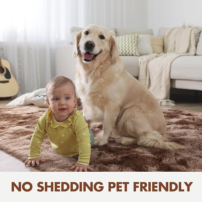 5x7 Ft Shag Brown Area Rug for Bedroom Living Room, Tie-Dyed Ultra Soft Fluffy Furry Rugs for Indoor Floor, Aesthetic Carpet for Kids Home Decor (Coffee)