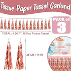 3P Rose Gold Foil Fringe Metallic Tassel Streamers Banner Tassel Garland for Parade Floats, Bachelorette, Wedding, Birthday, Halloween, Christmas, Bridal/Baby Shower Party Decorations