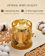 M&SENSE Orange Goji Scented Candle for Home, Plant-Based Soy Candles Non Toxic, Fresh Citrus Fragrant Air Purifying Relaxing Aromatherapy, 2 Wick 12.7oz Large Jar Candle 75H Long Lasting, Father Gift