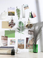 50 Pack Mini Self Adhesive Clips for Pictures - White Wood Clip Photo Holders for Wall, Poster Hanger, Photo Cards Hanging Display Board & Picture Boards, Artwork Photos Holders Card Room Decor