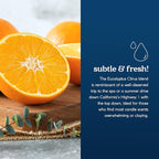 GoodLight Paraffin-Free Scented Candle, Clean Burning Non-Toxic Tin Candles, Eucalyptus Essential Oil Scented Travel Candle 6oz