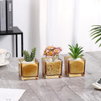 Square Flower Vases Set of 9, 3"x 3"x 3" Glass Vases for Centerpieces, Amber Vase for Flowers, Small Vase for Wedding, Party, Home Office Decoration