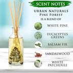 Urban Naturals Pine Forest Reed Diffuser Set - White Pine Needles, Eucalyptus and Sandalwood - Christmas Tree Scent - Holiday Decor with Real Pine Branches