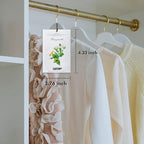 MYARO 12 Packs Honeysuckle Scented Sachets for Drawer and Closet, Long-Lasting Sachets Bags Air Freshener, Fresh Scents Potpourri Bags Home Fragrance for Lover