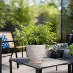 6 Inch Ceramic Plant Pot for Indoor Plants Outdoor Round Planter Flower Pot with Drainage Hole and Saucer for Home Garden Office Decor White