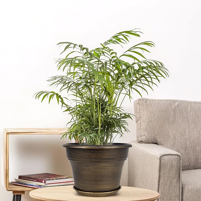 Plant Planters Pots Set of 6 Pack 6 Inch, Plastic Flower Pot for Indoor Plants with Drainage Holes & Trays, Resin Decorative Container Sets with Saucer for House Outdoor Garden Planters Dark Gold