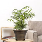 Plant Planters Pots Set of 4 Pack 10 Inch, Plastic Flower Pot for Indoor Plants with Drainage Holes & Trays, Resin Decorative Container Sets with Saucer for House Outdoor Garden Planters Dark Gold