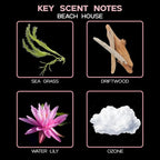 LOVSPA Reed Diffuser Set, Beach House Scented Oil Diffuser with Sticks, Home Fragrance Accessories for Bathroom Shelf Decor, Aroma Diffusers for Home or Office Desk, USA Made