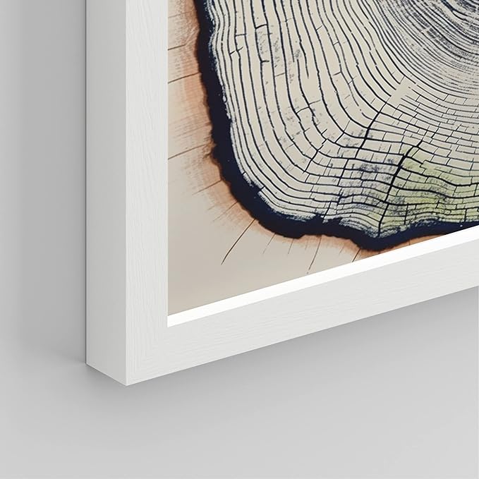 SIGNWIN Framed Blue & White Overexposed Wood Tree Ring Wall Art, Set of 4 Nature Wildernes Wall Decor Prints, Minimalism Wall Décor for Living Room, Bedroom - 12"x16" White