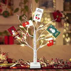 PABIPABI Money Tree Gift Holder, 24 LED Lighted Display Tree with 6 Clear Clips, Battery/USB Powered Timer Birch Tree for Christmas, Memo, Present Card, Photo, Wedding, Birthday Graduation