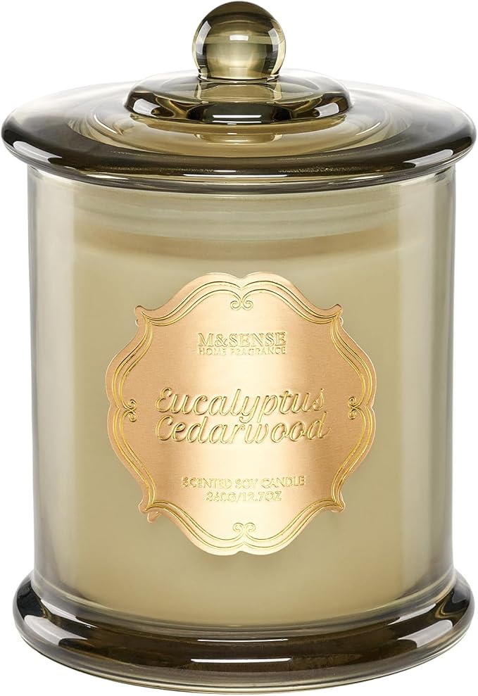 M&SENSE Eucalyptus Cedarwood Scented Candles, 2 Wick 12.7oz Large Jar Candle 75H Long Lasting, Plant-Based Non Toxic Natural Soy Wax, Aromatherapy Candles for Stress Relief,Gifts for Men Women Father
