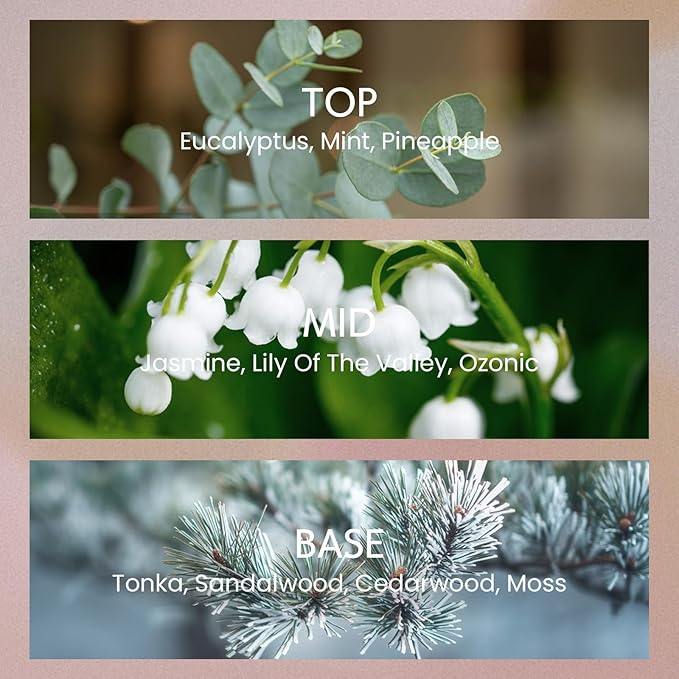 M&SENSE 8.4 oz Large Reed Diffuser for Home | Eucalyptus Mint Scent Oil Diffuser with Sticks | Bedroom Bathroom Living Room Decor