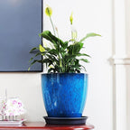 FixtureDisplays® Garden Plastic Round 11.8" Diameter 12" Tall Planter Resin Glazed Faux Ceramic Flower Pots Drainage Hole with Saucer Decorative Pot 15580-NF