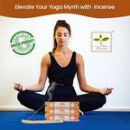 Satya Myrrh Incense Sticks, Satya 15gmx12 Pack with Raajsee Incense Holder Bundle, Satya Nagchampa Natural Incense