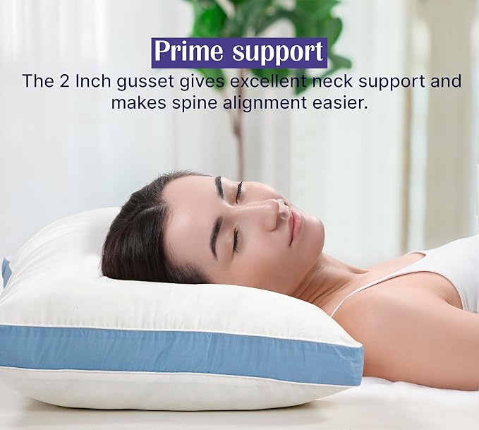 ROYALE LINENS Pillows Standard Size Set of 2 -Bed Pillows for Sleeping - Cooling Pillow for Back, Stomach or Side Sleepers - Down Alternative Gusseted Pillows -Hotel Quality (20x26 Inches, Pack of 2)