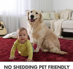 8x10 Ft Extra Large Shag Rugs for Living Room, Ultra Soft Fluffy Furry Area Rugs for Bedroom Indoor Floor, Aesthetic Carpet for Kids Home Decor (Burgundy)