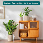 vancasso Ceramic Planters, Plant Pots for Indoor Plants, 6.25+8.25+10.25 Inch Ceramic Pots for Plants, Flower Pots with Drainage Holes (Gray, 6.25+8.25+10.25 Inch)