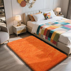 Shag Area Rug for Bedroom 3x5,Orange Fluffy Area Rugs for Living Room,Soft Fuzzy Rug Non-Shedding Indoor Plush Carpet for Kids Bedroom Nursery Dorm Home Decor