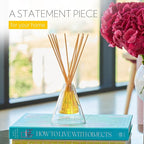 Agraria Golden Cassis Reed Diffuser Set, 12 Reeds Essential Oil Freshener Sticks, Room Diffusers for Home Fragrance, Scented Reed Oil Diffuser Gift