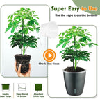 Self Watering Pots for Indoor Plants, 6-Pack 5'' Self Watering Planter with Drainage Holes, Small African Violet Pots with Water Indicator, Clear Wick Orchid Pot, Grey