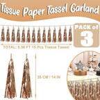 3P Champagne Gold Foil Fringe Metallic Tassel Streamers Banner Tassel Garland for Parade Floats, Bachelorette, Wedding, Birthday, Halloween, Christmas, Bridal/Baby Shower Party Decorations