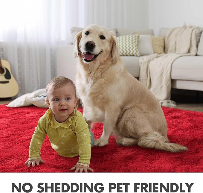 6x9 Ft Red Shag Rugs for Living Room Decor, Ultra Soft Fluffy Furry Area Rugs for Bedroom Indoor Floor, Aesthetic Carpet for Kids Nursery Dorm Home