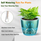 Self Watering Pots for Indoor Plants, 6-Pack 5'' Self Watering Planter with Drainage Holes, Small African Violet Pots with Water Indicator, Clear Wick Orchid Pot, Blue Gold