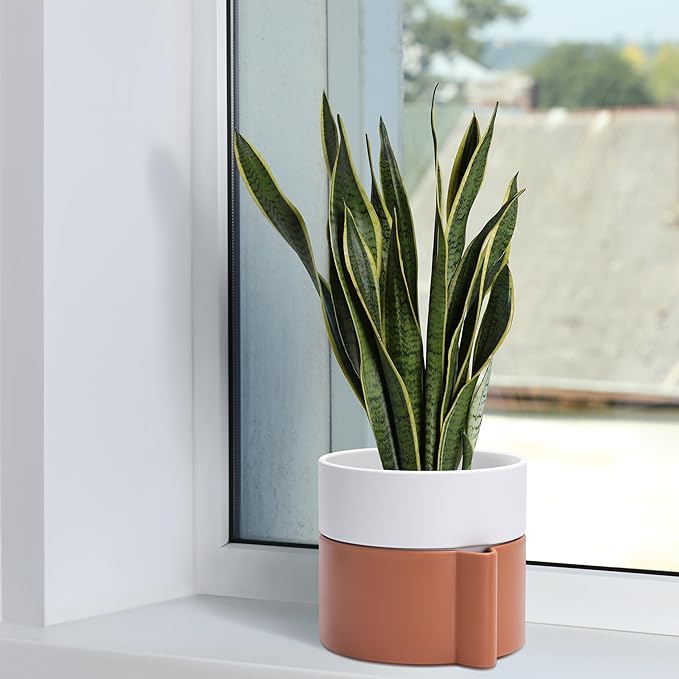 8 Inch Self-Watering Planter Pot with Terracotta Insert, Deep Water Reservoir, and Ceramic-Alike BPA-Free Plastic Planter Pot for Plant, Modern Planter for Houseplants, Terracotta/White, 53-B-T-6