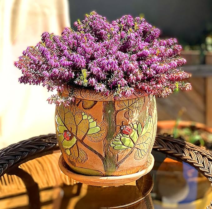 Ceramic Pot with Drainage Hole and Saucer, Plant Pots, Modern Decorative Planters for House Plants Indoor Flowers Plants, Cute Flower Pot - Gifts (Ladybugs (3 L))