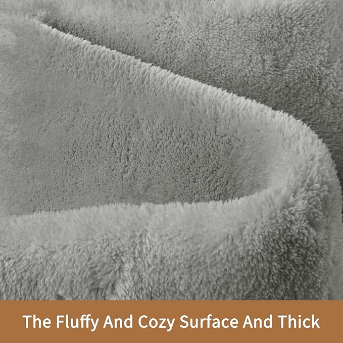 Sour Lemon 9x12 Area Rugs for Living Room, Soft Large Area Rug Fluffy Rugs for Bedroom，Machine Washable Area Rug Non Slip Carpet Rug for Living Room Playroom Kids Room Home Decor