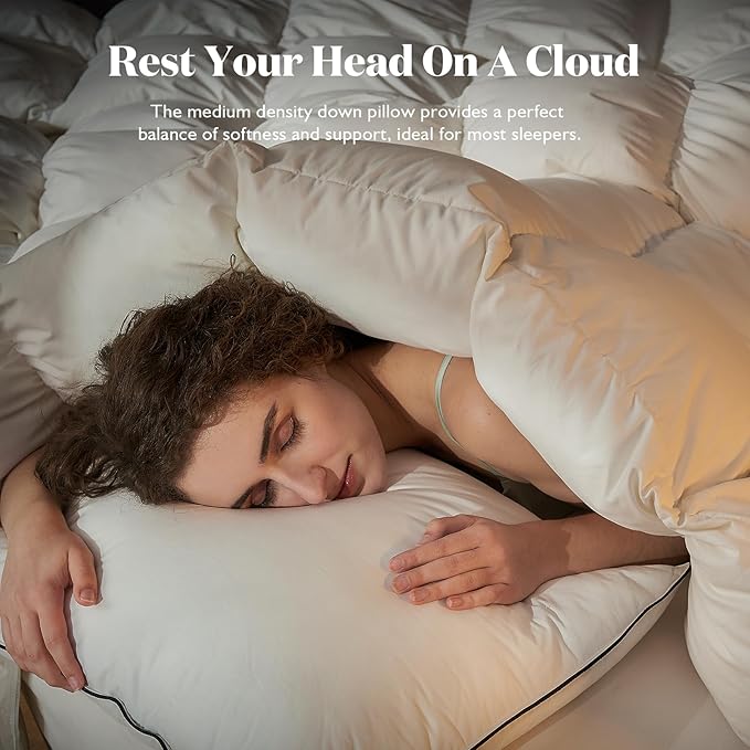 BPC Luxury Feather Down Pillow Standard Size Set of 2 - Medium-Firm Feather Pillow, 3-Chamber Organic Cotton Cover Bed Pillow Inserts, Wrapped in Polyester, 20x26 Inches