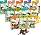 Tulasi Backflow Incense Cones with Natural Oils, Scents Set of 12 Fragrances (120 Cones) Calming Home Aromatherapy, Yoga, Meditation, Relaxing, Mixed Scents with Natural Oils