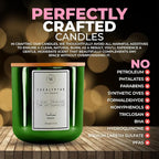 Waxily Eucalyptus Scented Soy Candle | Non-Toxic, Phthalate-Free Essential Oil Candle | Aromatherapy, Luxury Gift, Clean Burning, Stress Relief, Spa, Vegan, Eco Friendly Home | 12oz