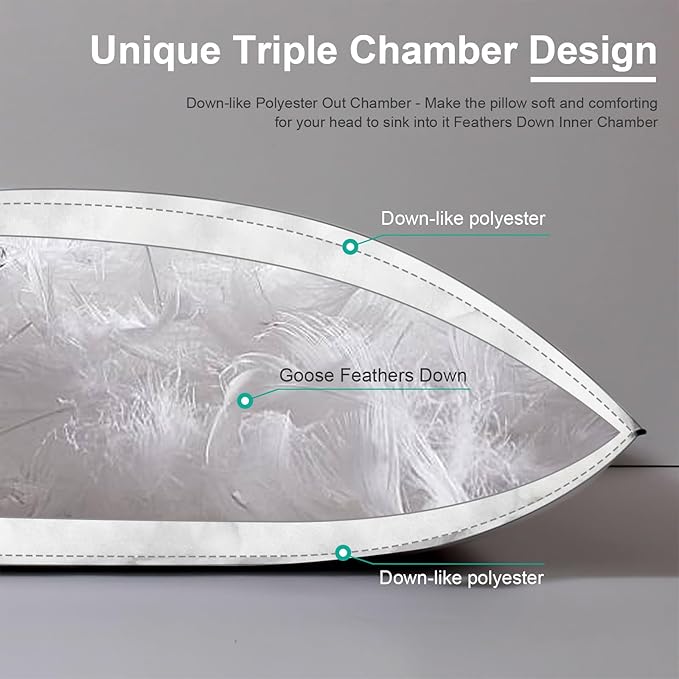 APSMILE Medium Firm Feather Down Pillows King Size Set of 2, Luxury Goose Feather Pillow for Sleeping, 600TC/DM Organic Cotton Cover Hotel Bed Pillow, Wrapped in Polyester (White, 20"x36")