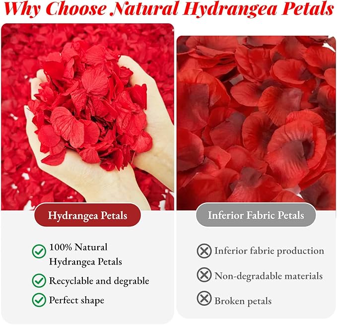 1500+ Real Dried Red Hydrangea Flower Petals - 1.06 oz Natural Preserved Petals for Wedding, Party Confetti,Proposal Decor