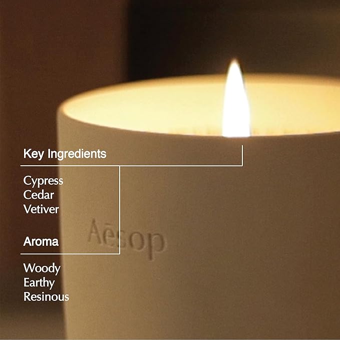 Aesop Ptolemy Aromatique Candle | Resinous, Earthy, Woody Scented | 55-65 Hour Burn Time | Vegan-Friendly | 10.5 oz
