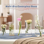 60pcs Glass Vase Cylinder Vases for Centerpieces Small Flower Glass Vases Home Decor Centerpiece Table Clear Flower Vase Decorations for Wedding＆Holiday 4,6,7.5,8,10 Inch Tall