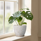 Ceramic Planter 8 Inch Plant Pot with Drainage Hole and Saucer Ceramic Pots for Indoor Plants Outdoor Large Flower Pot for Home Decor White