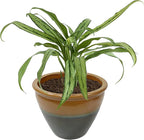 Sunnydaze Chalet Large Ceramic Plant Pot - Round Outdoor Glazed Ceramic Planter Pot with Drainage - Forest Lake Green - 14.5"