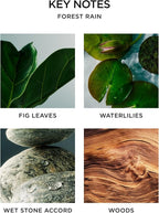 NEST New York Scented Classic Candle, Forest Rain - 8.1 oz - Up to 60-Hour Burn Time - Reusable Glass Vessel