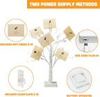 EAMBRITE Money Tree Gift Holder, Gift Card Tree 2FT 24LED, Lighted Birch Trees Battery/USB Powered Timer Photo Display with 12 Clear Clips and 12 Cards for Home Christmas Halloween Picture Memo 2 Pack